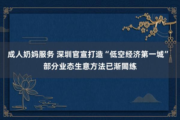 成人奶妈服务 深圳官宣打造“低空经济第一城” 部分业态生意方法已渐闇练
