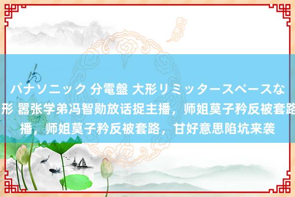 パナソニック 分電盤 大形リミッタースペースなし 露出・半埋込両用形 嚣张学弟冯智勋放话捉主播，师姐莫子矜反被套路，甘好意思陷坑来袭