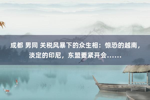 成都 男同 关税风暴下的众生相：惊恐的越南，淡定的印尼，东盟要紧开会……