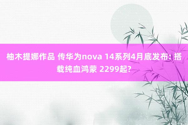 柚木提娜作品 传华为nova 14系列4月底发布: 搭载纯血鸿蒙 2299起?