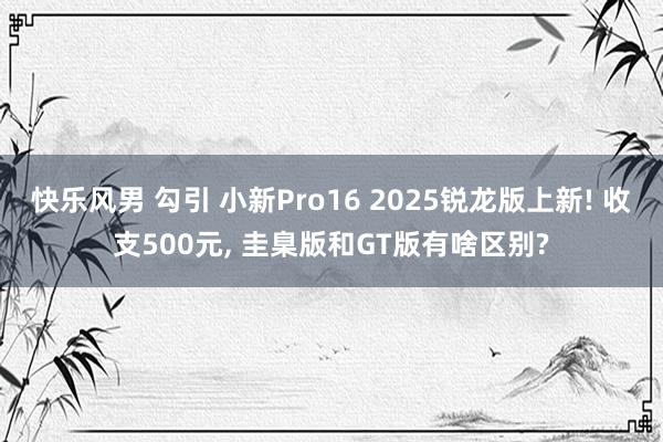 快乐风男 勾引 小新Pro16 2025锐龙版上新! 收支500元, 圭臬版和GT版有啥区别?