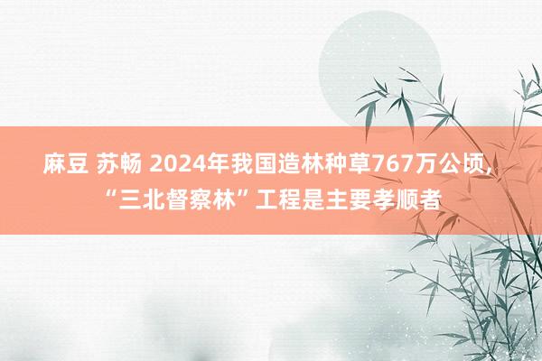 麻豆 苏畅 2024年我国造林种草767万公顷, “三北督察林”工程是主要孝顺者