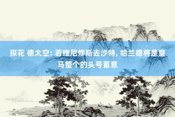 探花 德太空: 若维尼修斯去沙特, 哈兰德将是皇马整个的头号蓄意