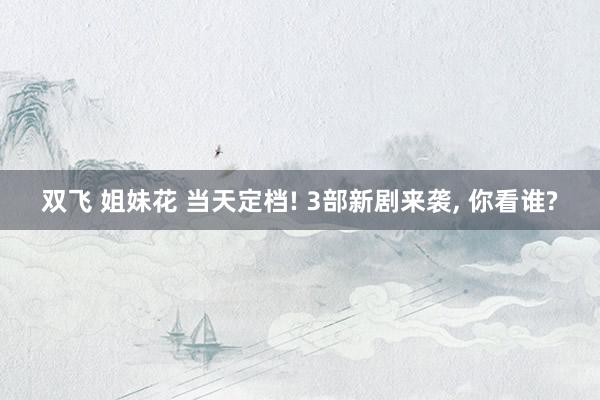双飞 姐妹花 当天定档! 3部新剧来袭, 你看谁?