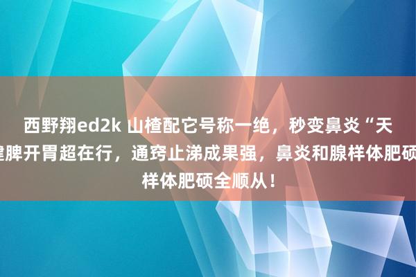 西野翔ed2k 山楂配它号称一绝，秒变鼻炎“天敌”！健脾开胃超在行，通窍止涕成果强，鼻炎和腺样体肥硕全顺从！