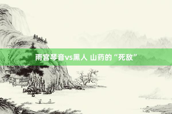 雨宫琴音vs黑人 山药的“死敌”