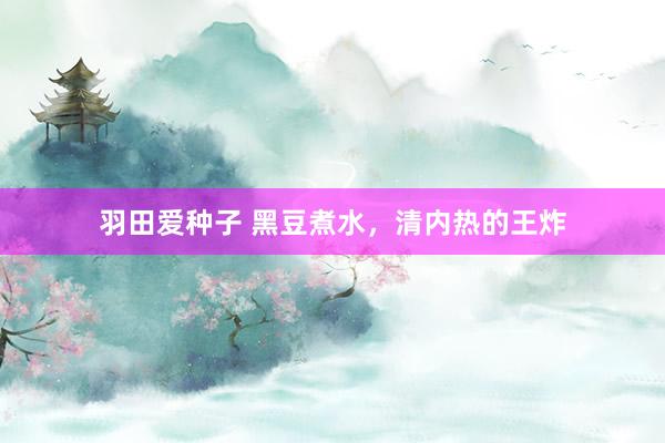 羽田爱种子 黑豆煮水，清内热的王炸