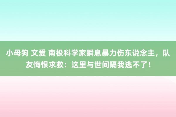 小母狗 文爱 南极科学家瞬息暴力伤东说念主，队友悔恨求救：这里与世间隔我逃不了！