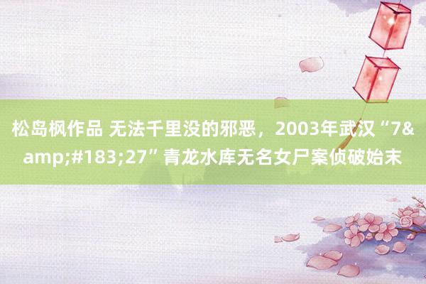 松岛枫作品 无法千里没的邪恶，2003年武汉“7&#183;27”青龙水库无名女尸案侦破始末