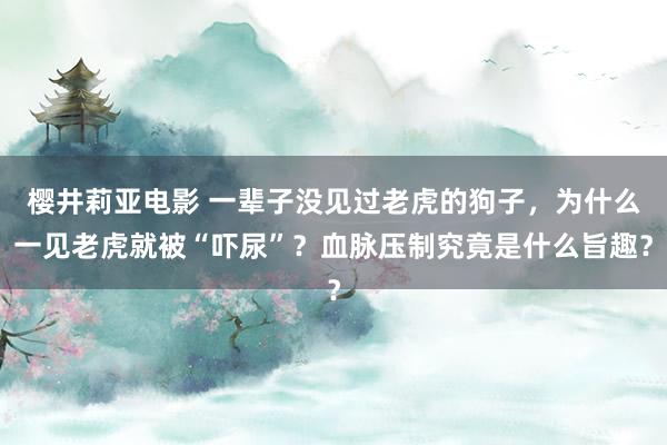 樱井莉亚电影 一辈子没见过老虎的狗子，为什么一见老虎就被“吓尿”？血脉压制究竟是什么旨趣？