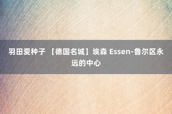 羽田爱种子 【德国名城】埃森 Essen-鲁尔区永远的中心