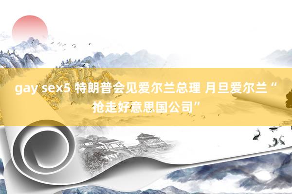 gay sex5 特朗普会见爱尔兰总理 月旦爱尔兰“抢走好意思国公司”