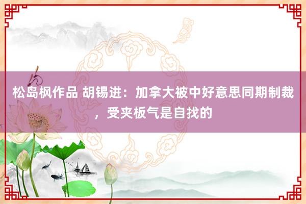 松岛枫作品 胡锡进：加拿大被中好意思同期制裁，受夹板气是自找的